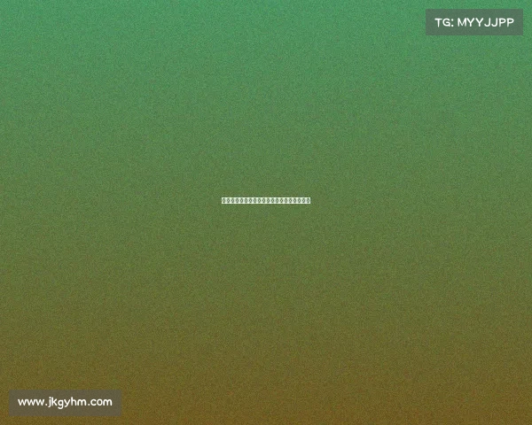 印地五百大赛激情上演速度与荣耀的巅峰对决